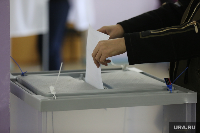 Выборы. Владивосток. необр и неотобр, выборы, голосование, урна для голосования