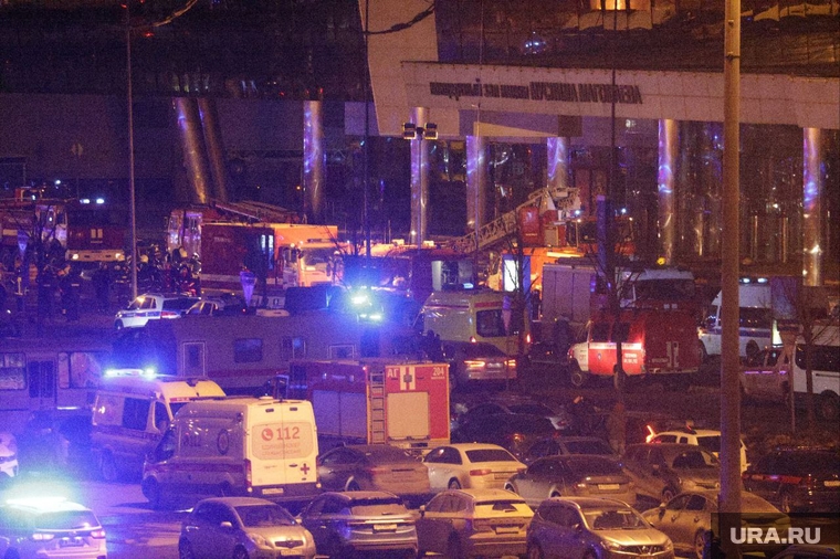 Теракт в Крокус Сити Холл. Московская область, спецслужбы, крокус-сити