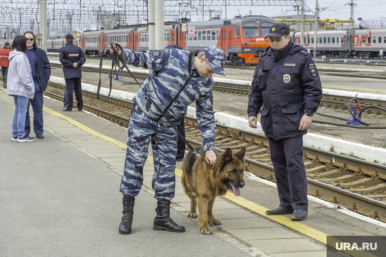 Ретро поезд "Эшелон Победы". Пермь, транспортная безопасность, полицейский патруль, кинолог с собакой, транспортная полиция