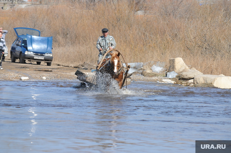 Паводок. Челябинская область, лошадь, конная повозка, телега, паводок, наводнение