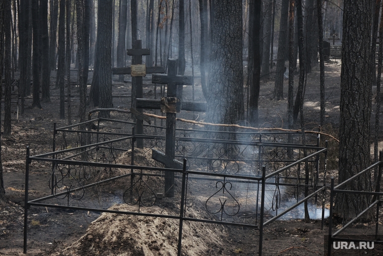 Кладбище в посёлке Чистопрудное. Курган, кладбище, последствие пожара, сгоревшее кладбище