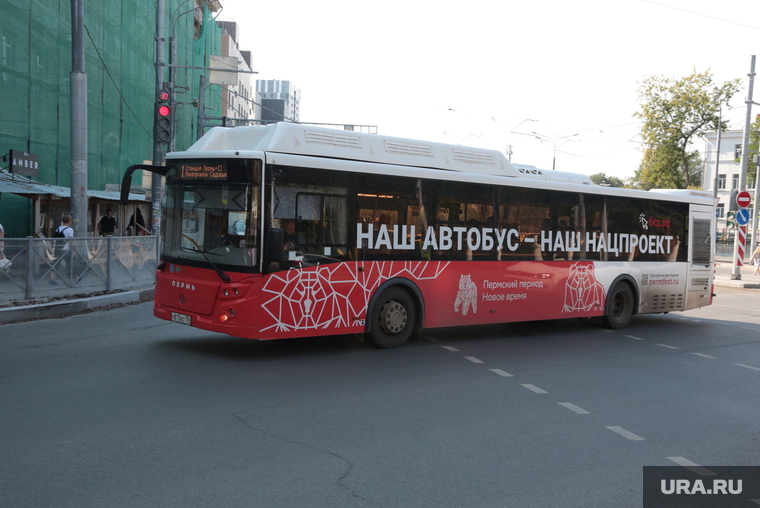 Виды города. Пермь, автобус, виды перми, нацпроект