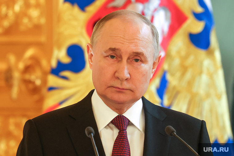 Президент России Владимир Путин на встрече с доверенными лицами. Москва, путин владимир