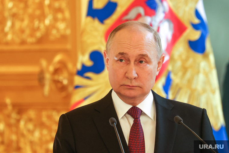 Президент России Владимир Путин на встрече с доверенными лицами. Москва, путин владимир