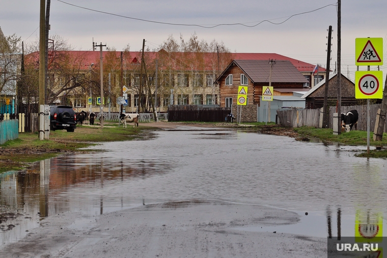 Микрорайон Белозерский. Курган , микрорайон белозерский