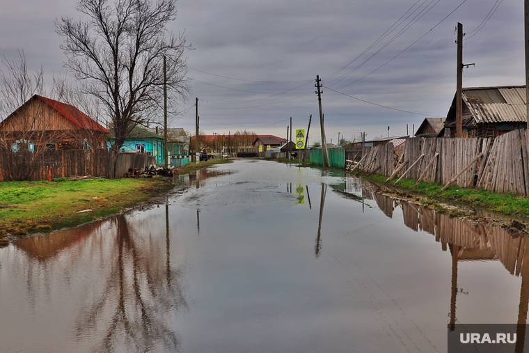 В селе Рычково Белозерского округа подтопило несколько домов