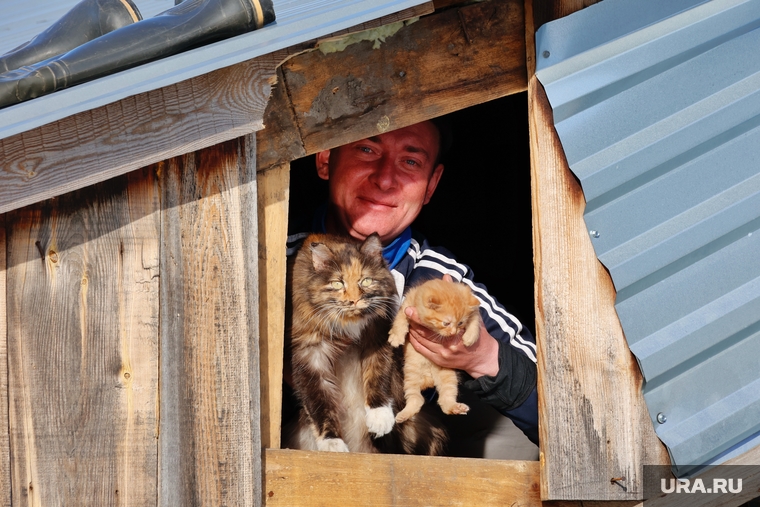 Сергей живет на чердаке дома, с ним семья кошек