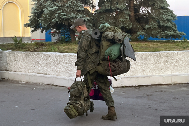 Пассажирские железнодорожные перевозки. Пермь, контрактник, дембель, чвк, мобилизация, доброволец сво, экипировка сво, участник сво