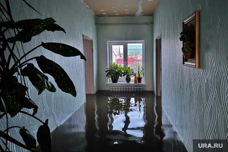 Вода почти по окна доходила в доме Гладышевых (фото на 20 апреля)