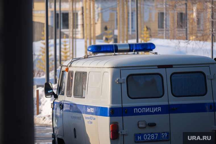 Обзорная по городу. Пермь
, зима, мвд, полиция, правоохранительные органы, патрульный автомобиль, правоохранительная деятельность, полицейский уаз