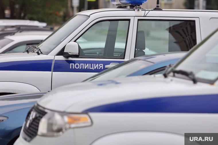 Город. Курган, машина полиции, полиция