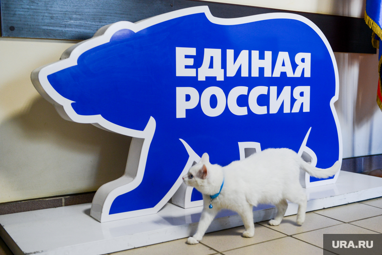 Илья Коломейский заявился на предварительное голосование (праймериз) «Единой России». Челябинск, медведь ер, единая россия, кот рося