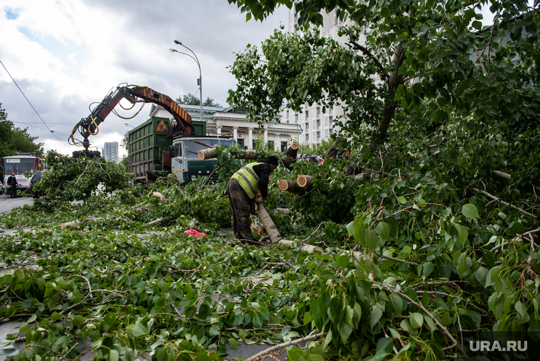 Последствия урагана в Екатеринбурге, улица куйбышева, сломанные деревья, ураган, циклон, дерево, последствия ураган