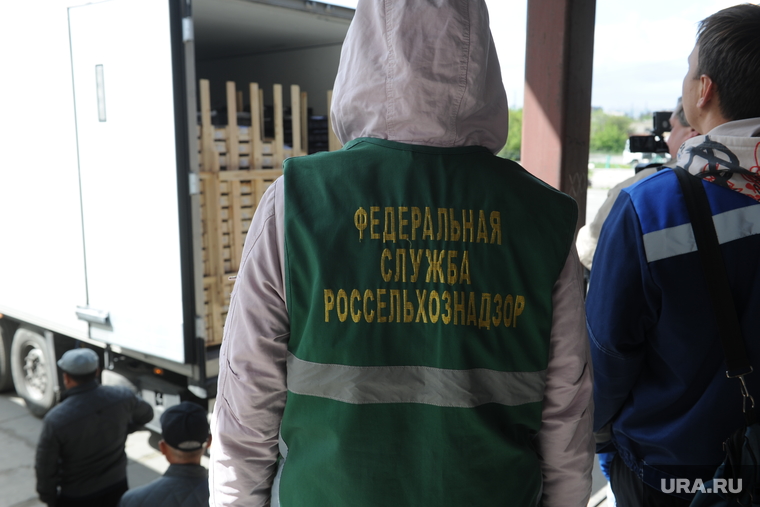 Специалисты Россельхознадзора визуально досмотрели плоды и отобрали пробы для лаборатории
