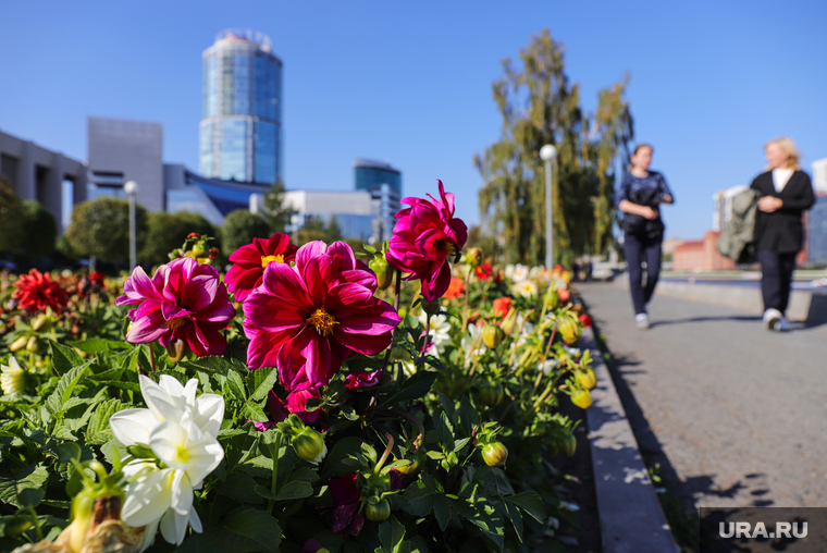 Городские зарисовки. Екатеринбург, прогулка, клумбы с цветами, цветы