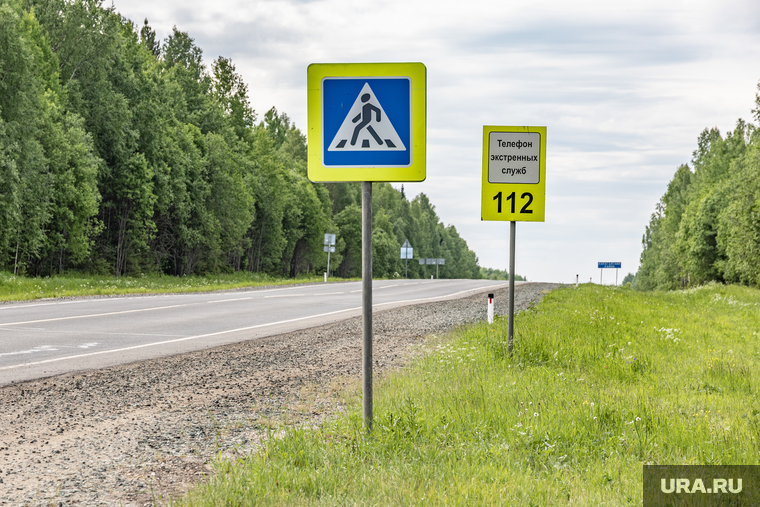 Указатели, таблички. Пермский край, июнь 2021, пешеходный переход, трасса, 112
