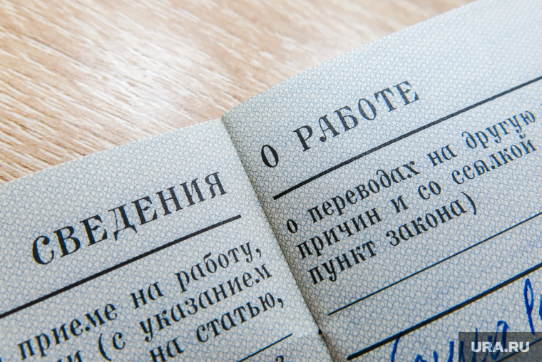 Трудовая книжка. Челябинск, трудовая книжка, кадровик, трудоустройство, работа, безработные