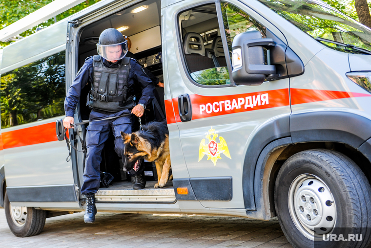 Обучение действиям при возникновении нештатных ситуаций в дни голосования. Челябинск, кинолог, служебная собака, росгвардия, овчарка, розыскная собака