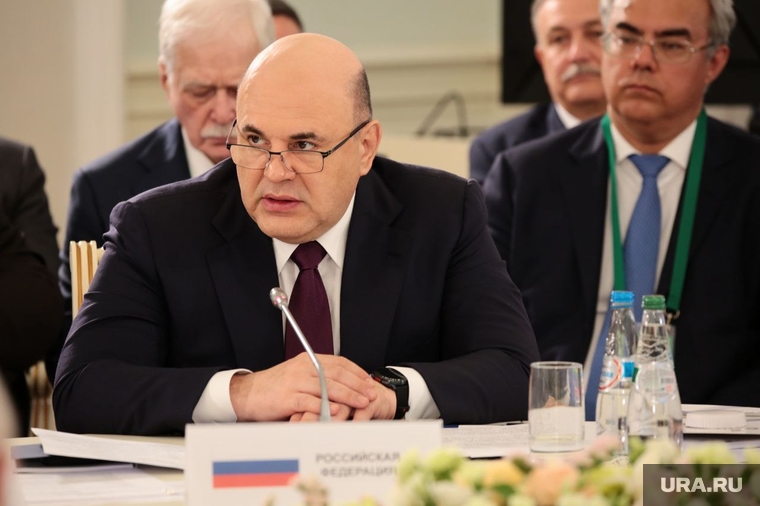 Мишустин. Несвижский замок, михаил мишустин