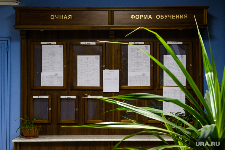 Интервью с Русланом Долженко. Екатеринбург, вуз, высшее учебное заведение, очная форма обучения