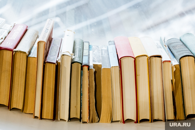 Дарья Новикова. Тюмень, книги, книжный магазин