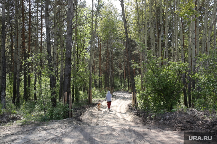Парк Комарово. Тюмень , парк комарово