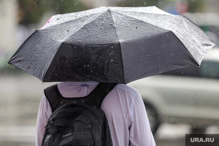 Дождь. Екатеринбург, зонт, непогода, зонтик, ливень, дождь