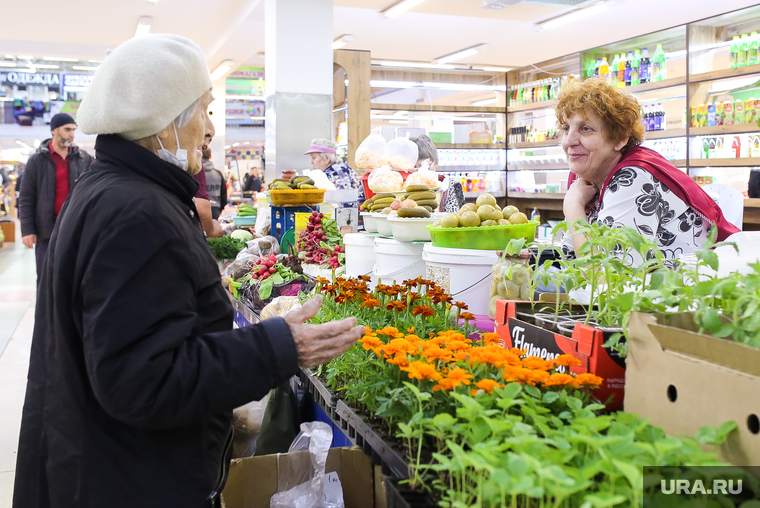 Центральный рынок. Тюмень, торговля, рассада, рынок, продажа, покупатель
