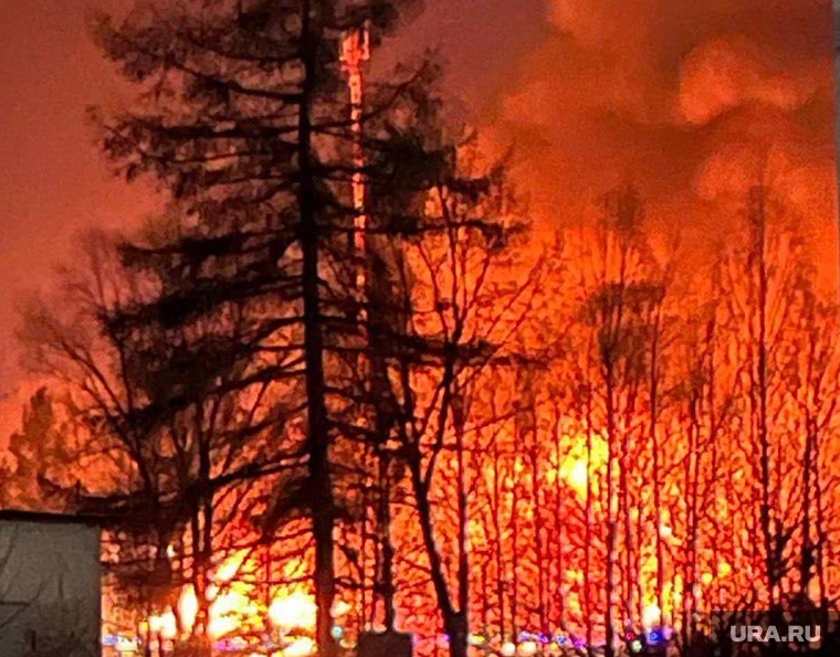 Пожар, Аша, Челябинская область, пожар, лес, огонь, возгорание, пламя