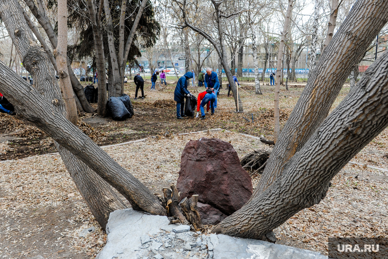 В «Саду камней» пройдет большинство кинопоказов