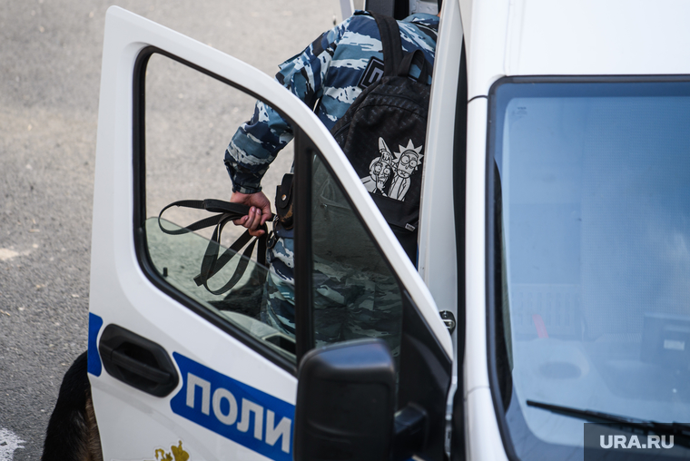Избрание меры пресечения правозащитнику Алексею Соколову. Екатеринбург , полицейский с собакой, силовик, полиция, правопорядок, полицейский, кинолог с собакой, полицейский автомобиль, рик и морти