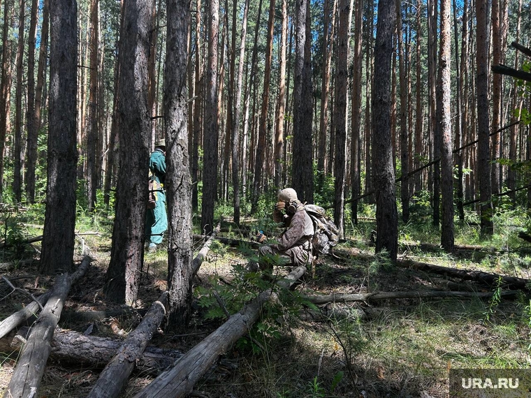 Тело ребенка обнаружили примерно в километре от места пропажи в болоте