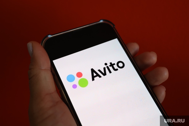 Сайт Авито. Курган, авито, avito, сайт авито