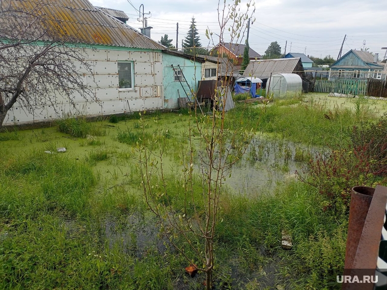 Дома и огороды затоплены водой