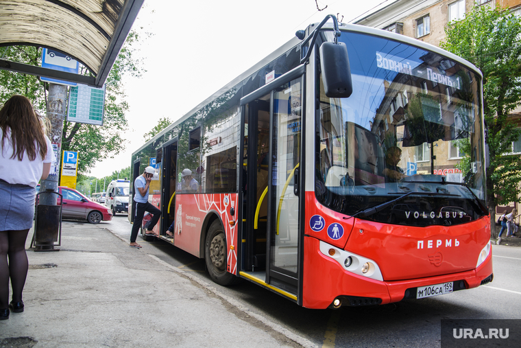 Новые автобусы. Пермь, остановка, автобус