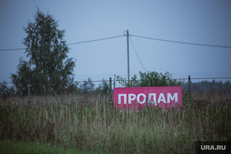 Деревня Нечесово. Московская область, Шаховской район, деревня, дача, дачный участок, село, продажа недвижимости