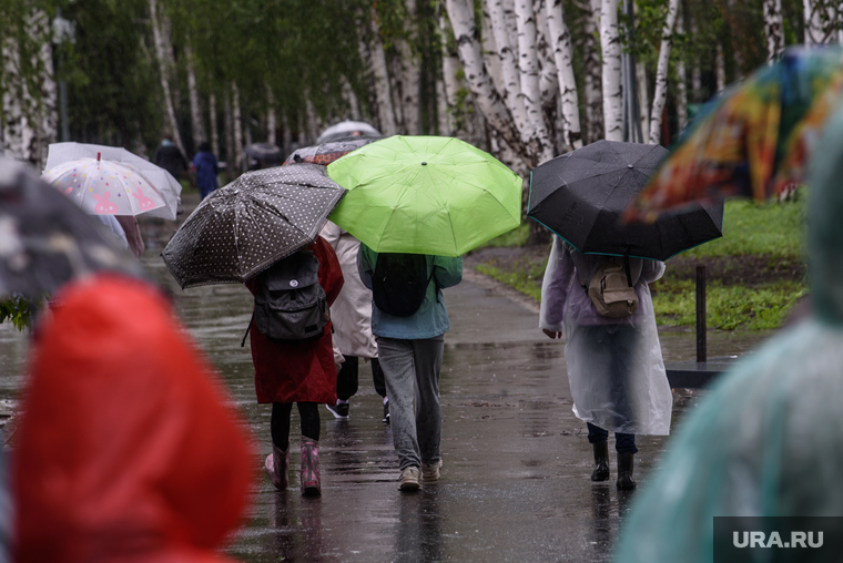 Дождливый клипарт. Екатеринбург , холод, ветер, непогода, дождливая погода, ветер, дождь