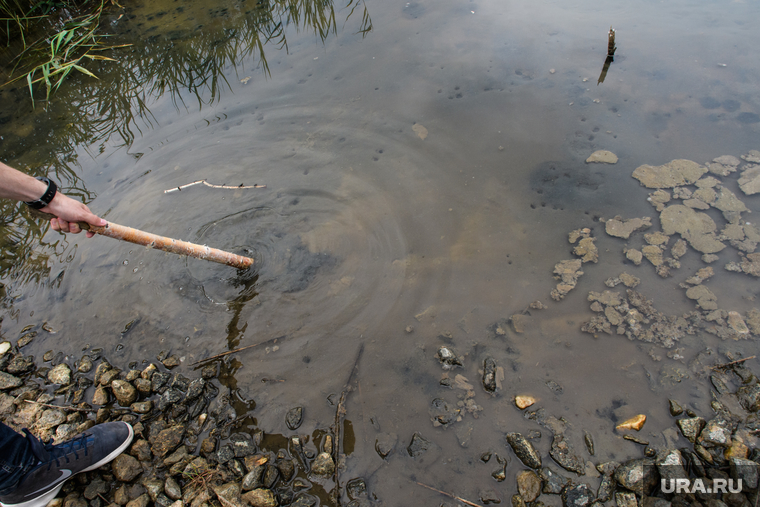 Озеро Здохня и шламонакопитель МУП "Водоканал". Екатеринбург, грязная вода, загрязнение окружающей среды, экология