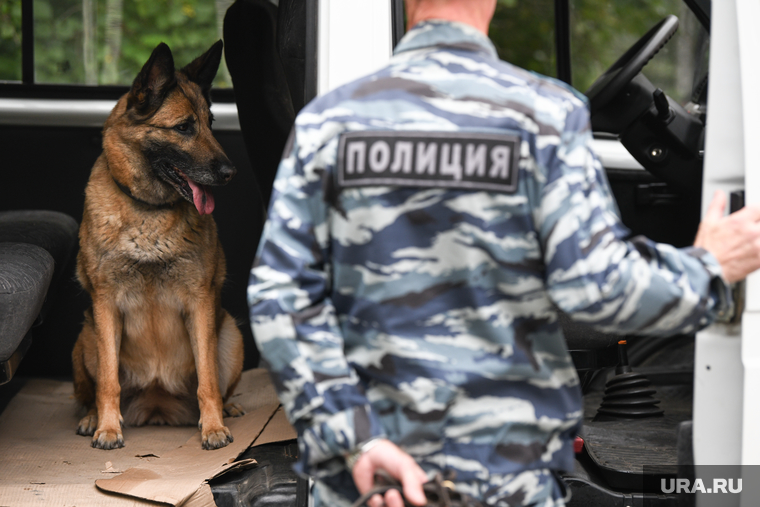 Соревнования кинологов СО. Екатеринбург, поиск взврывчатки, кинологическая служба, поиск наркотиков, досмотр машины