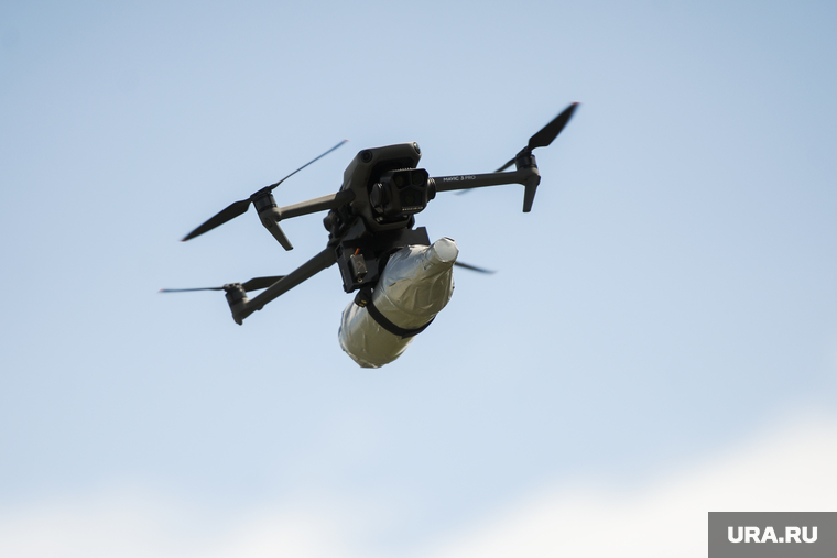 ����������� 31 �������