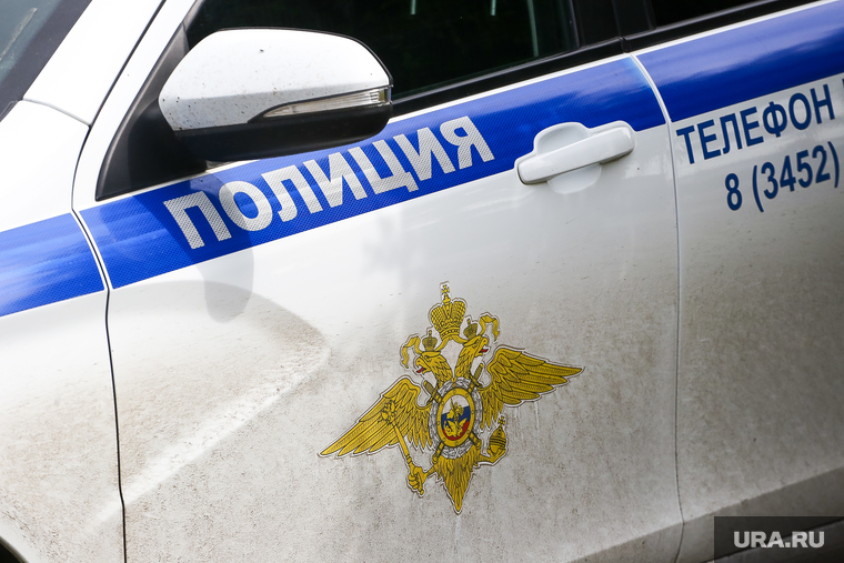 ДПС. Тюмень, машина дпс, автомобиль дпс, машина полиции, полиция, дпс, дпс лето