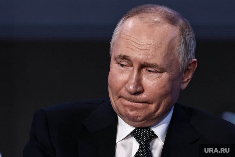 Владимир Путин на форуме АСИ. Москва, путин владимир, топ