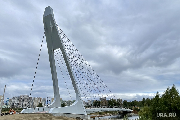Алексей Текслер на вантовом мосту. Челябинск, вантовый мост