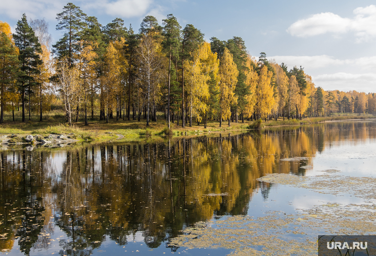 Клипарт. Екатеринбург
, пейзаж, лес, отражение, водоем, природа, осень