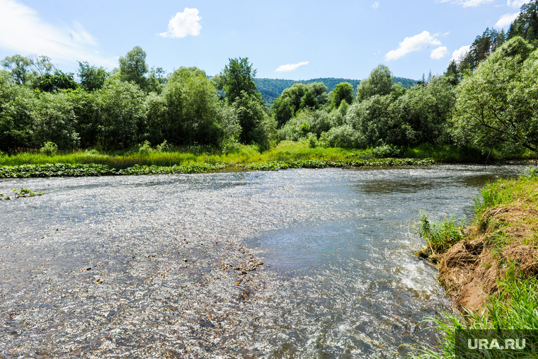 Природа, отдых. Челябинск, вода, лето, река, природа