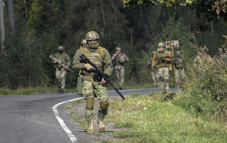 Вооруженные силы Украины. stock, разведчик, дозор, всу, сбу, украинские военные, stock