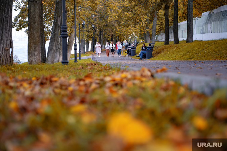 Осень. Пермь, сквер, девушки, прогулка, люди, парк, листва, досуг, женщины, отдых, осень