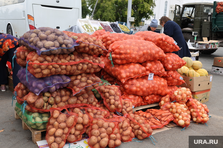Александрийская ярмарка на Троицкой площади. Курган, картофель, мешок картофеля