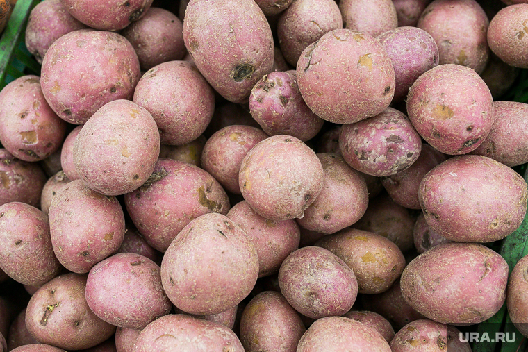 Продукты, овощи и фрукты. Тюмень, овощи, торговля, картофель, картошка