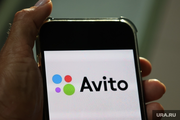 Сайт Авито. Курган, авито, avito, сайт авито